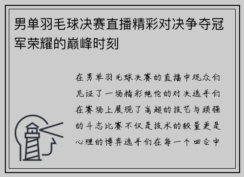 男单羽毛球决赛直播精彩对决争夺冠军荣耀的巅峰时刻